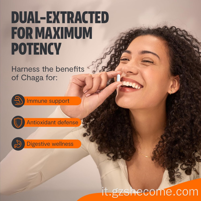 FUNGHI CHAGA FUNGHI FUNGHI CAPSULE SUPPORTO GIUSTO